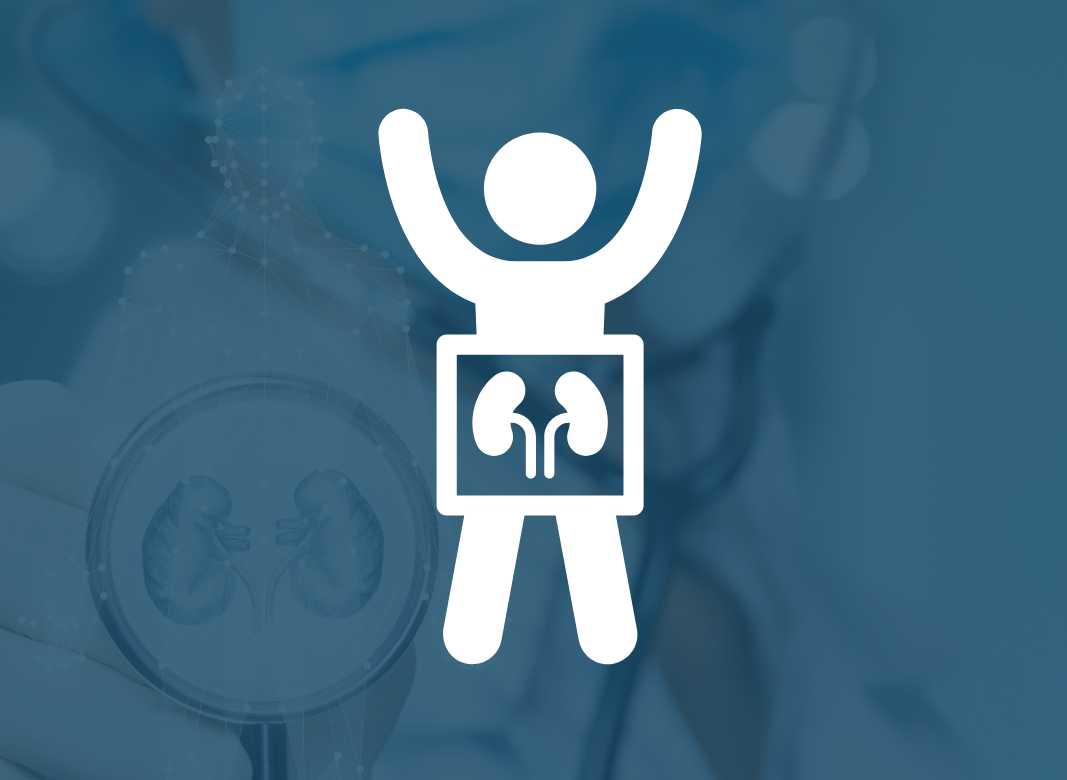 Diagnosis of kidney function